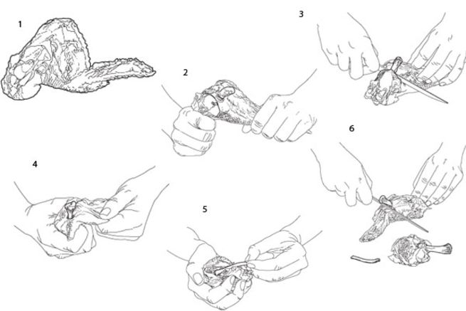 655x437 Frenching 101 Saveur - Chicken Wing Sketch