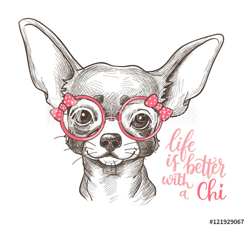 500x459 Girl Chihuahua Illustration Print. Cute Fashionable Dog Vector - Chihuahua Sketch