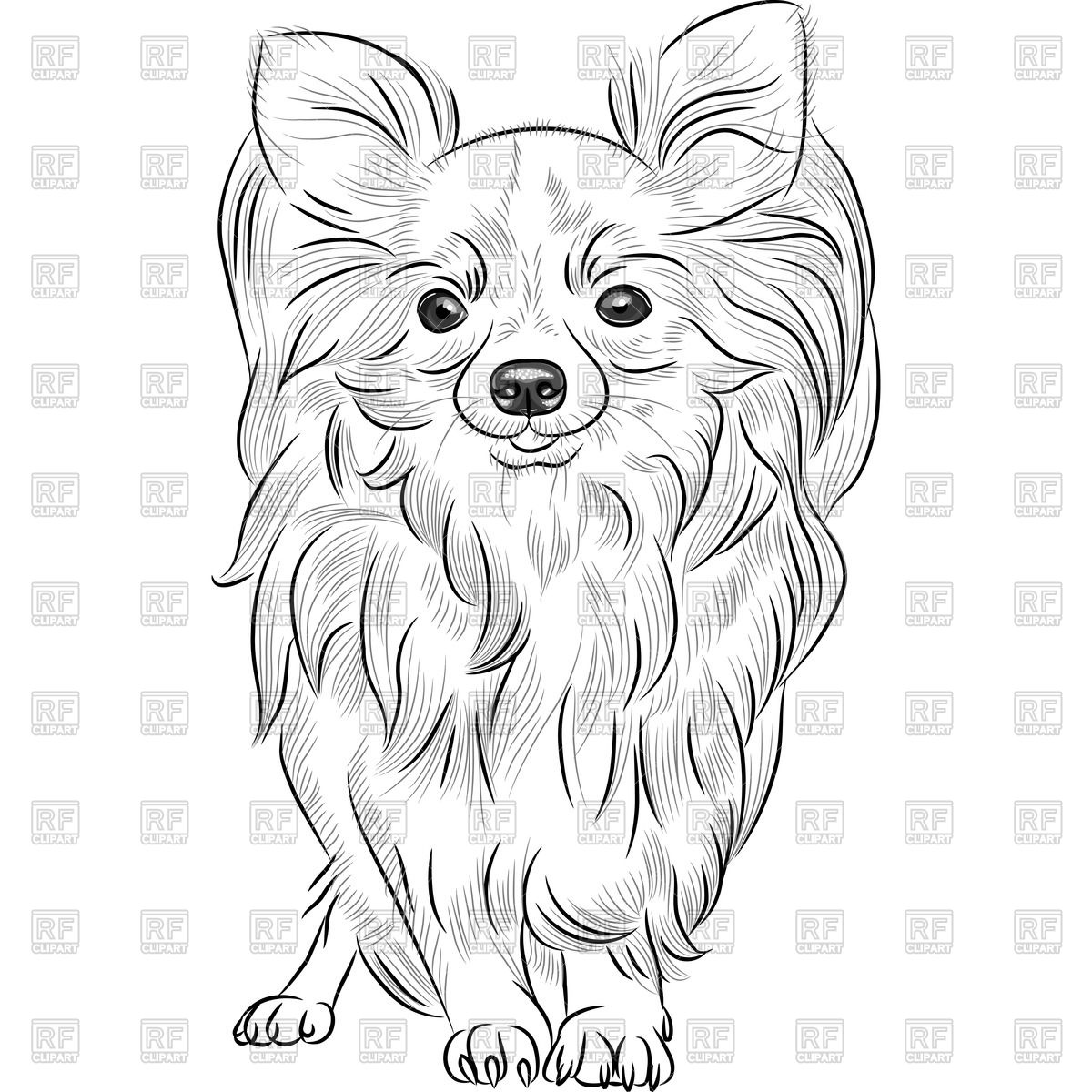 1200x1200 Grayscale Sketch Of The Cute Chihuahua Vector Image Vector - Chihuahua Sketch