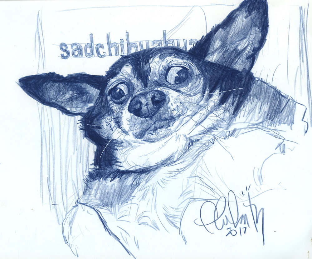 1000x829 Sad Chihuahua First Sketch Of The Man. Thomas Fluharty - Chihuahua Sketch