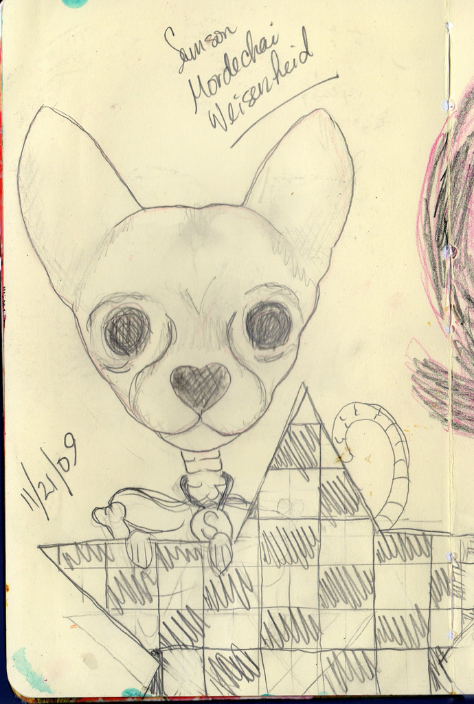 690x1024 Teacup Chihuahua Commission - Chihuahua Sketch