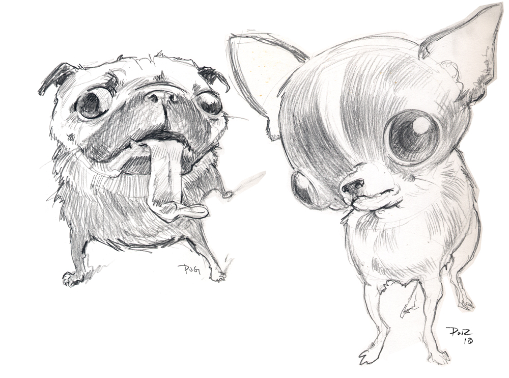 1000x742 Zillustration Studio News Pug And Chihuahua - Chihuahua Sketch