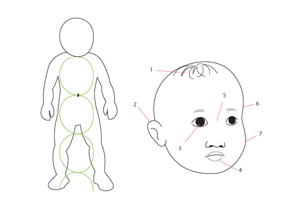 600x422 Human Anatomy Fundamentals Drawing Different Ages - Child Face Sketch