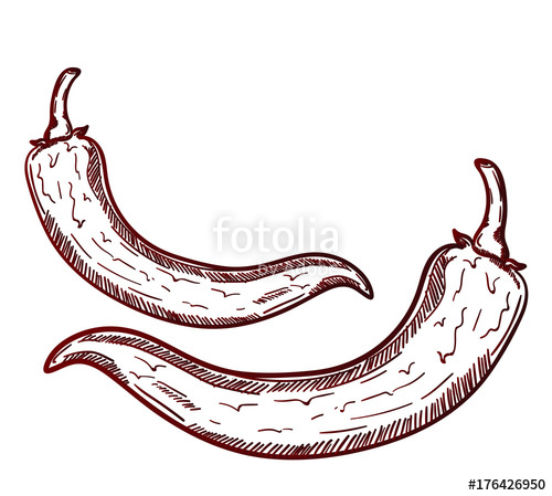 500x449 Red Chilli Is A Hot Traditional Mexican Snack. Chile - Chile Sketch