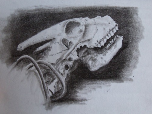 500x375 Travel Drawings From Sketching In Chile And Patagonia - Chile Sketch