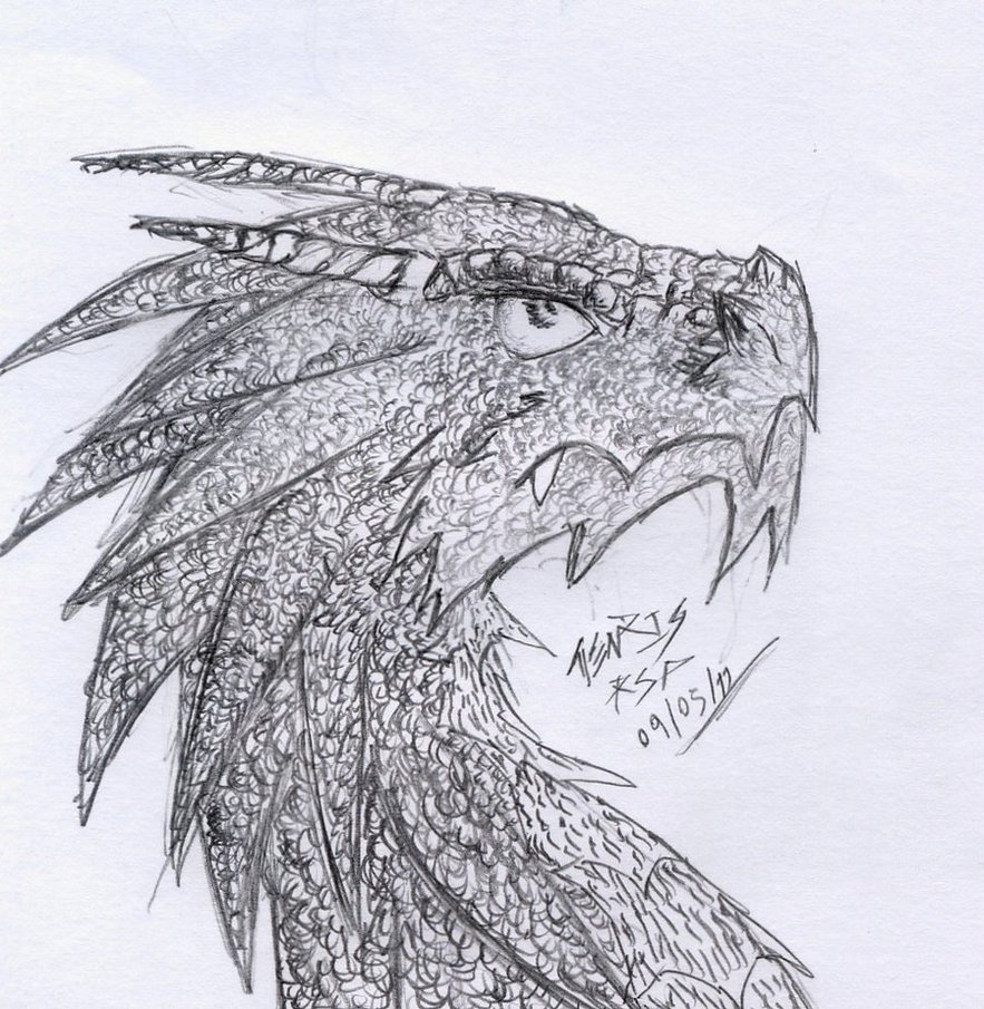 883x905 Dragon Sketch By Rs Chile - Chile Sketch