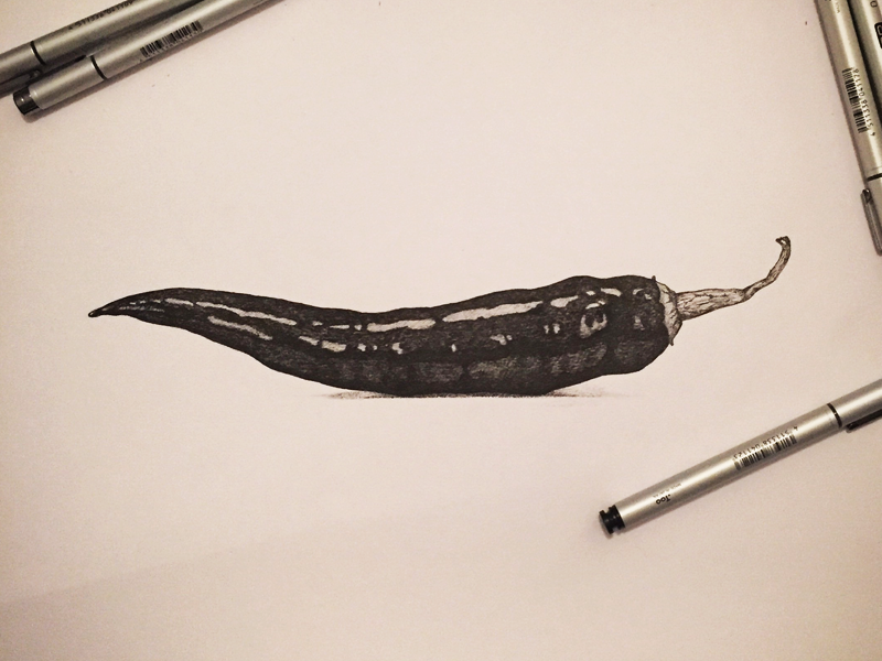 800x600 Chili Sketch By Johan Geijer - Chili Pepper Sketch