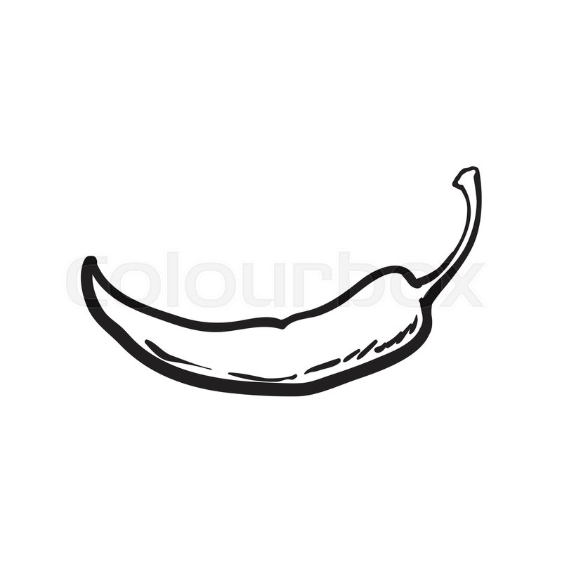 800x800 Hand Drawn Red Hot Chili Pepper, Black And White Sketch Style - Chili Pepper Sketch