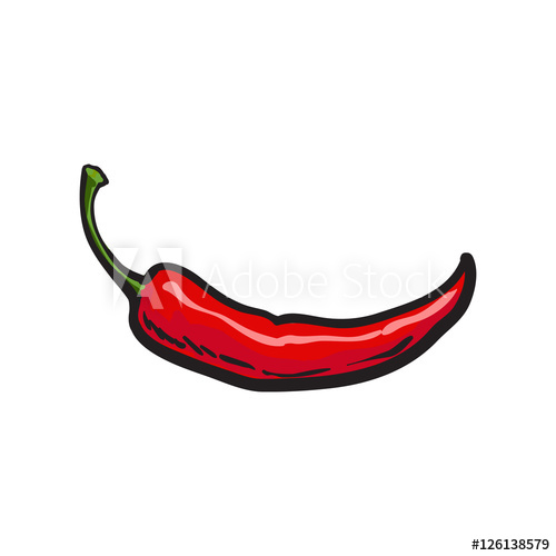 500x500 Hand Drawn Red Hot Chili Pepper, Sketch Style Vector Illustration - Chili Pepper Sketch