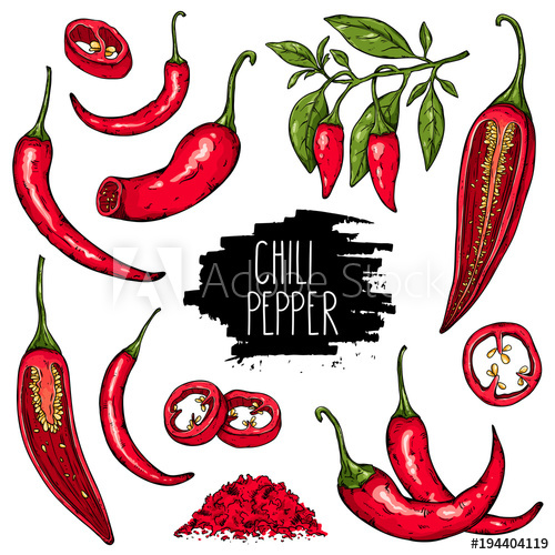 500x500 Hand Drawn Vegetable Set Of Mexican Hot Pepper Chili, Slices - Chili Pepper Sketch