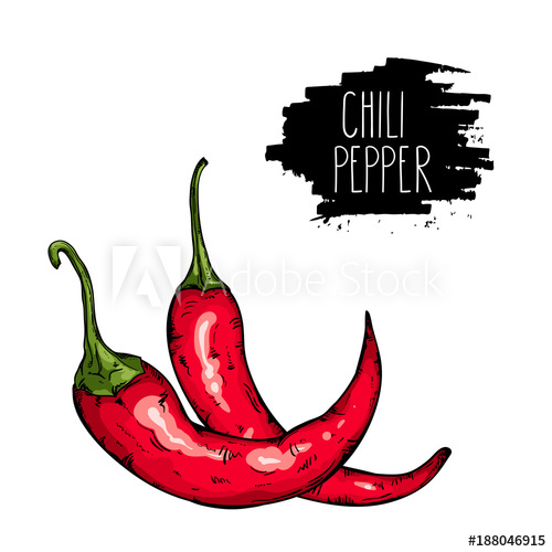 500x500 Isolated Spicy Hot Chili Pepper. Natural Vegetable Vector Sketch - Chili Pepper Sketch