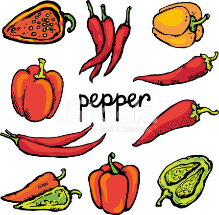 447x439 Set Sketch Color Red Hot Chili And Bell Peppers Stock Vector - Chili Pepper Sketch