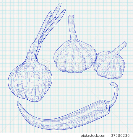 450x468 Vegetables Sketch. Onion, Garlic And Chili Pepper - Chili Pepper Sketch