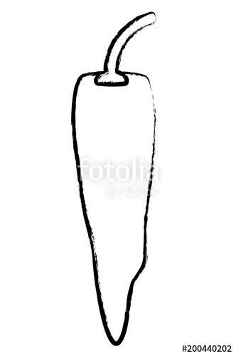 332x500 Sketch Of Chili Pepper Icon Over White Background, Vector - Chili Pepper Sketch