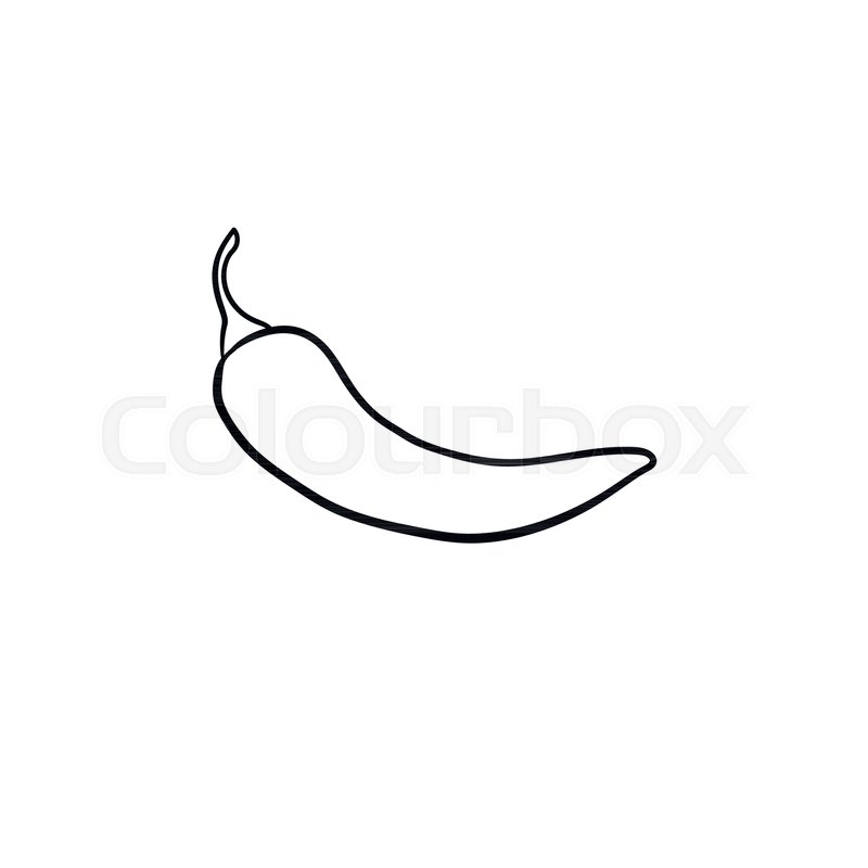 800x800 Chili Pepper Hand Drawn Outline Doodle Icon. Vector Sketch - Chili Pepper Sketch