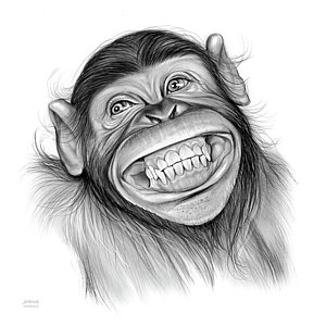 300x300 Chimpanzee Drawings Fine Art America - Chimp Sketch