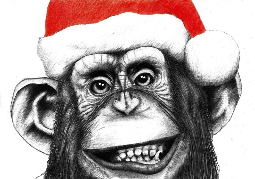 850x595 Christmas Chimp Drawings Sketch By Leigh Andrews - Chimp Sketch