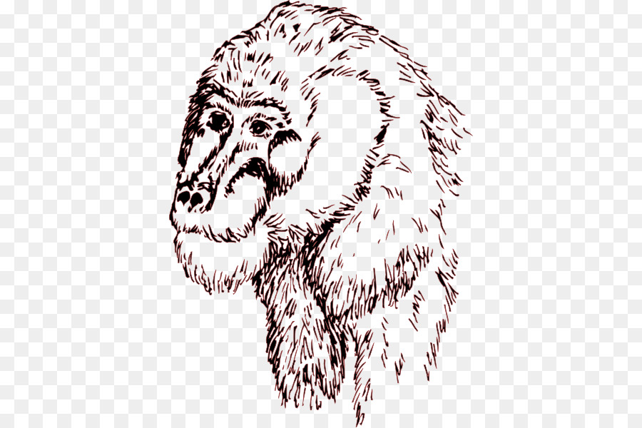 900x600 Lion Chimpanzee Clip Art Sketch Drawing - Chimp Sketch