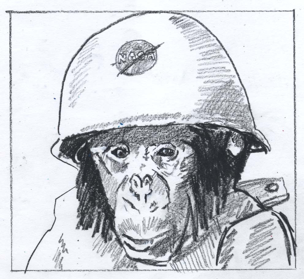992x912 Nathaniel Gold Chimp Sketch Of The Week - Chimp Sketch