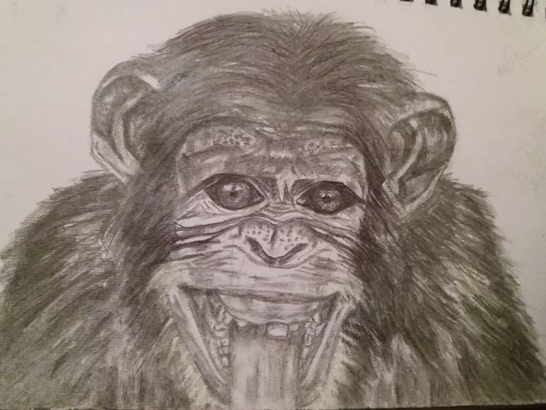 Chimpanzee Sketch at PaintingValley.com | Explore collection of ...