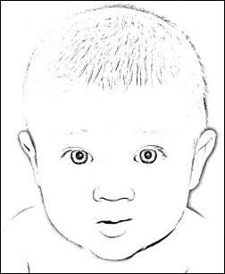 252x306 Gimp - Chin Sketch