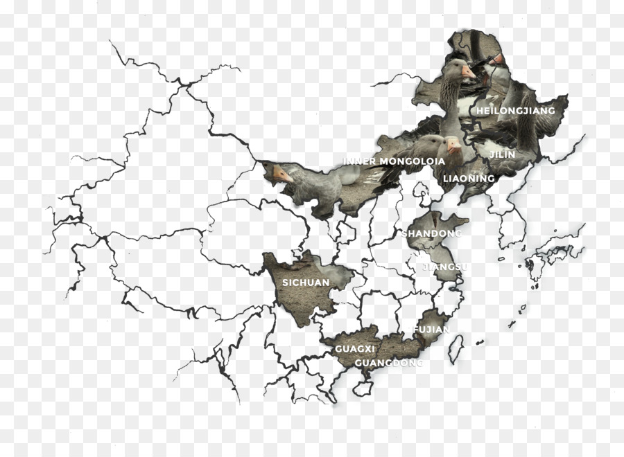 900x660 Map Tuberculosis Animal Sketch - China Map Sketch