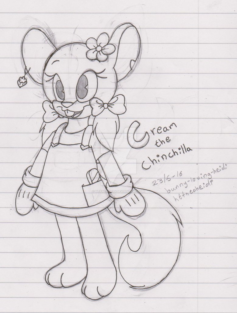 779x1026 Cream The Chinchilla (Sketch) By Htfneoheidi - Chinchilla Sketch