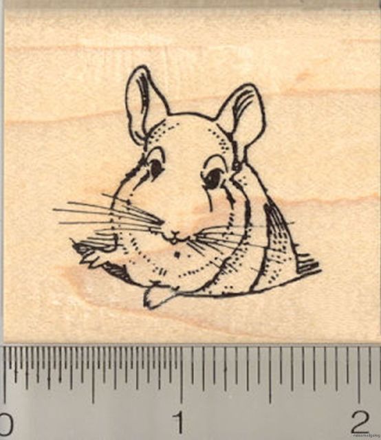 554x640 Cute Chinchilla Rubber Stamp G9821 Wm Chin Ebay - Chinchilla Sketch