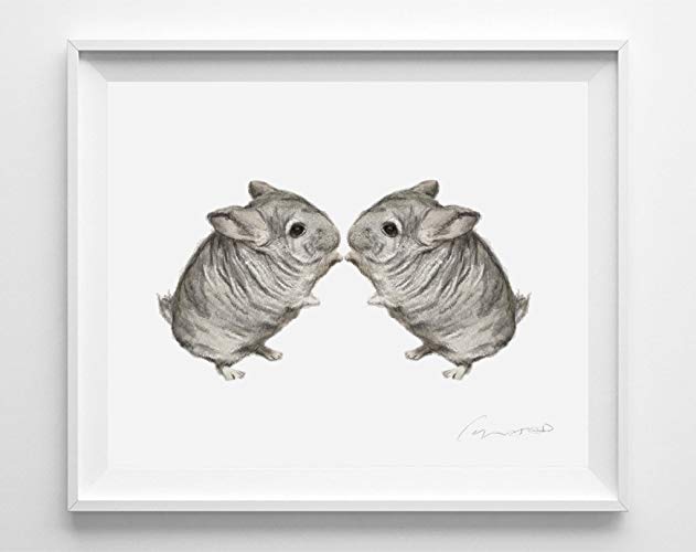 631x500 Chinchilla Watercolor Painting - Chinchilla Sketch