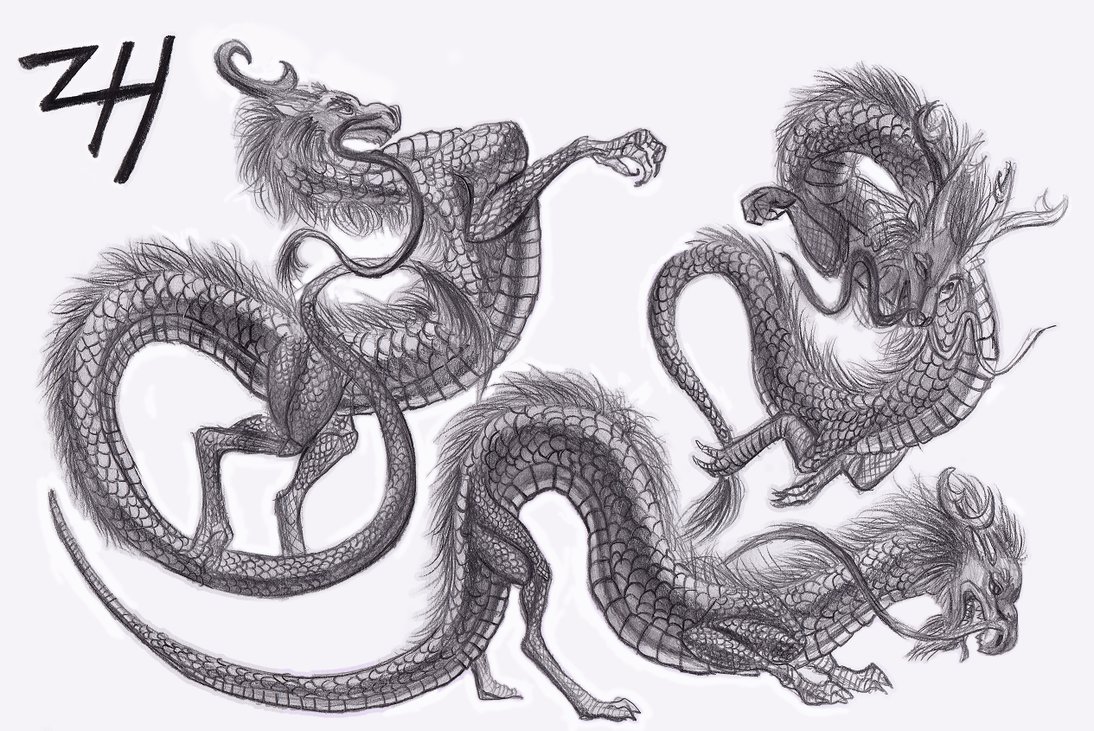 Chinese Dragon Sketch at PaintingValley.com | Explore collection of ...