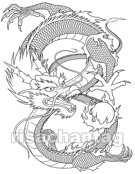 Chinese Dragon Sketch At PaintingValley.com | Explore Collection Of ...