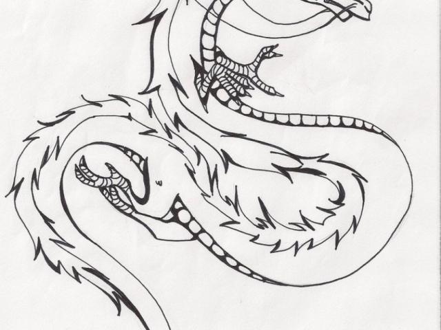 640x480 Drawn Chinese Dragon Sketch 2 - Chinese Dragon Sketch