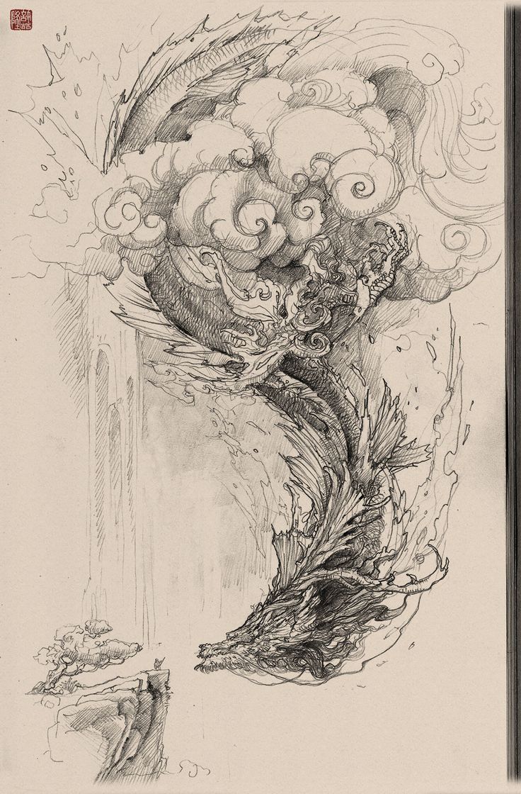 736x1120 Drawn Chinese Dragon Pencil Draw - Chinese Dragon Sketch
