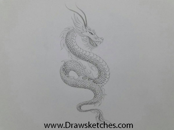 600x450 How To Draw A Chinese Dragon In A Few Easy Steps With Pictures - Chinese Dragon Sketch