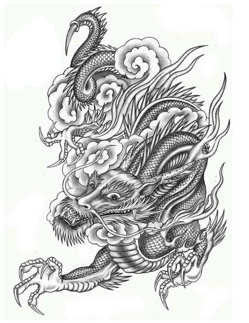 501x649 Chinese Dragon Tattoo Sketch - Chinese Dragon Sketch