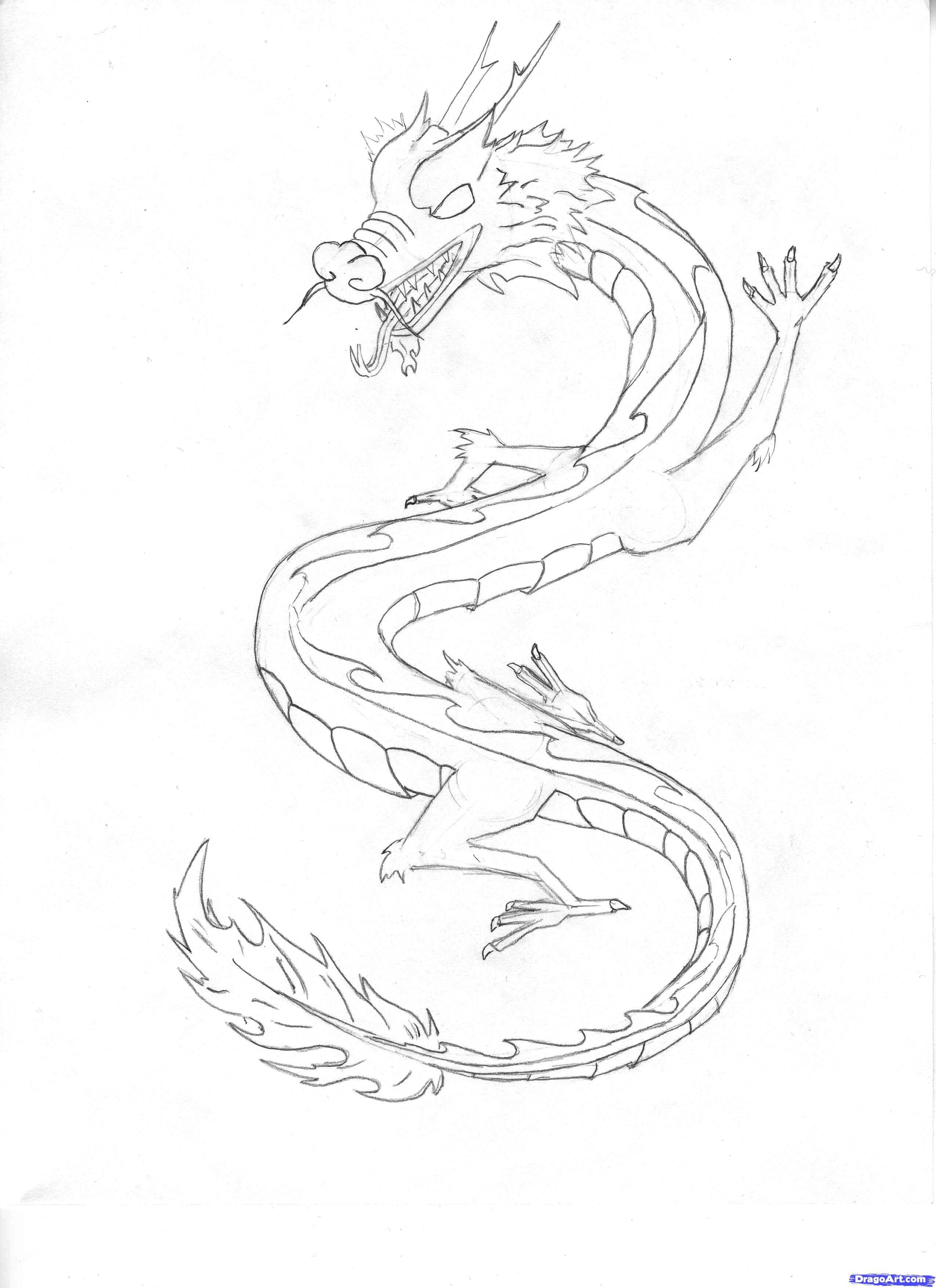 2550x3509 Chinese Dragon Sketch Images - Chinese Dragon Sketch