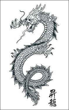 236x376 Collection Of Chinese Dragon Drawing Tumblr High Quality - Chinese Dragon Tattoo Sketch