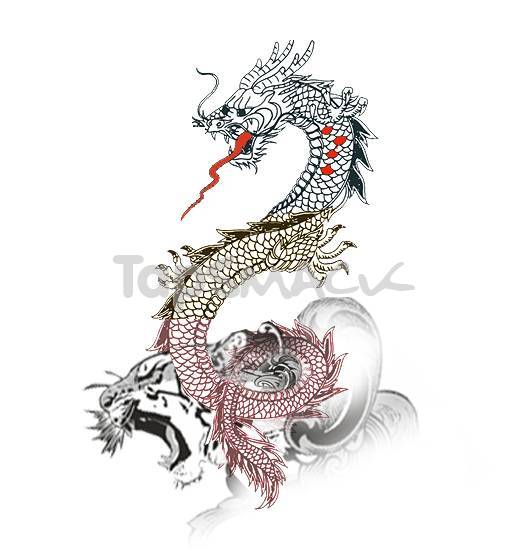 528x550 Sampoerna Poetra Chinese Dragon Tattoo Drawing - Chinese Dragon Tattoo Sketch