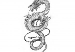 300x210 Tattoo Art Inspirations - Chinese Dragon Tattoo Sketch
