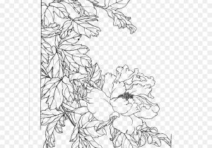 300x210 Free Line Drawings Of Flowers - Chinese Flower Sketch