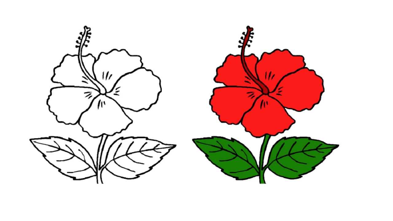 1280x720 Fun To Drawing Easy And Simple Way Draw A Flower China Rose - Chinese Flower Sketch