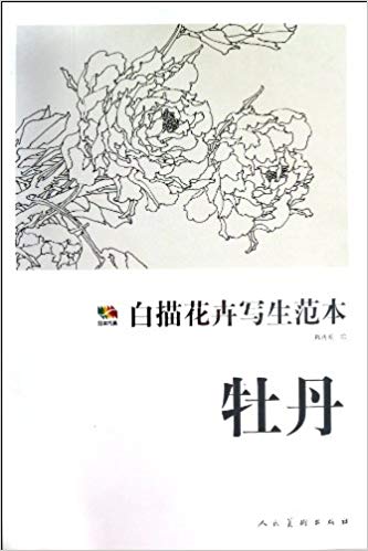 333x499 Peony - Chinese Flower Sketch