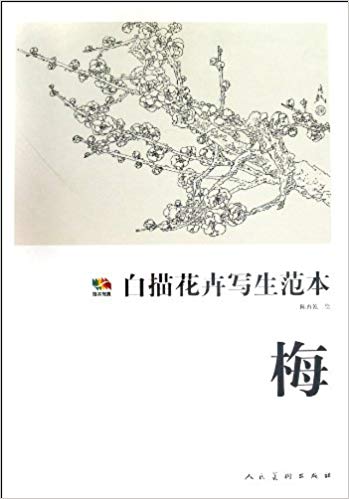 349x499 Plum Blossom - Chinese Flower Sketch