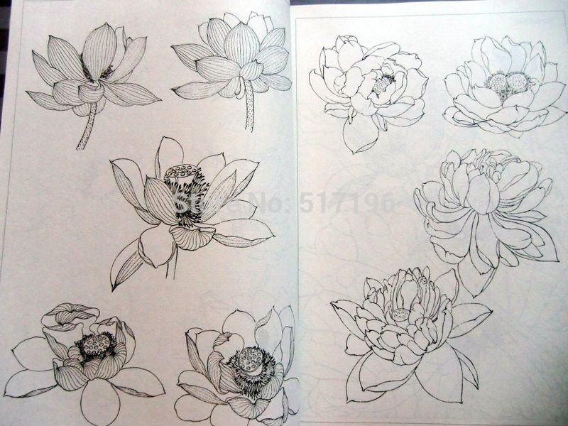 800x600 Tattoo Book Lotus Flower Line Drawing Chinese Painting Tattoo - Chinese Flower Sketch