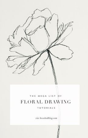 290x456 The Mega List Of Floral Drawing Tutorials Floral Drawing - Chinese Flower Sketch