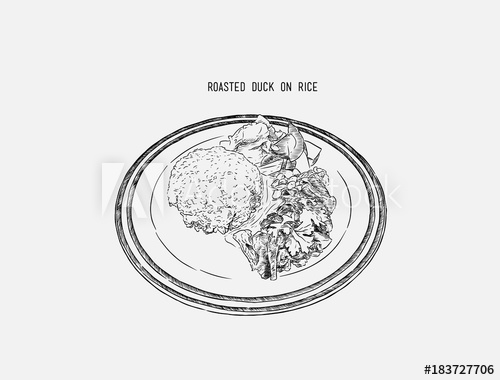 500x380 Roasted Duck With Rice, Thai Food, Chinese Food. Hand Draw Sketch - Chinese Food Sketch