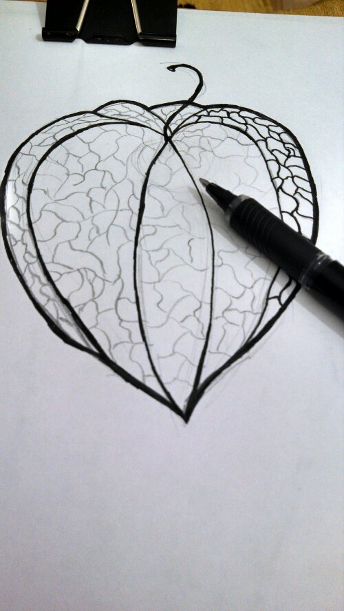 500x889 Chinese Lantern Sketch One Day. One Sketch. - Chinese Lantern Sketch