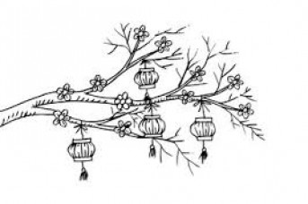 343x228 Chinese Lantern Flower Drawing - Chinese Lantern Sketch