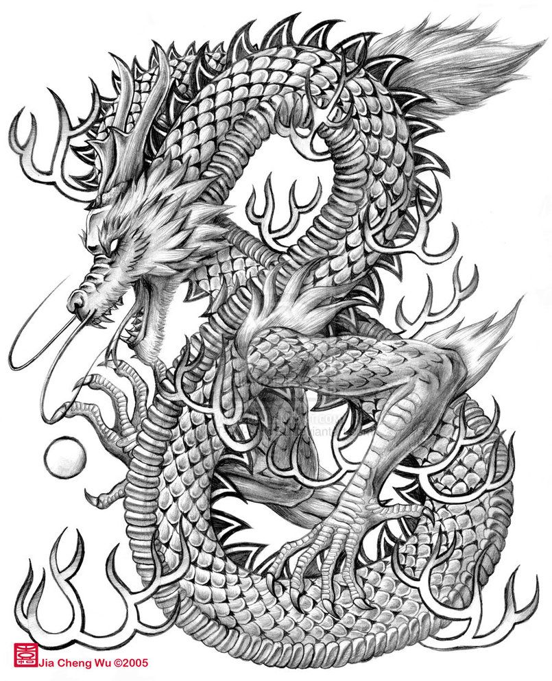 805x993 Chinese Dragon Drawings Chinese Dragon By Jiachengwu Tattoos - Chinese Lion Sketch