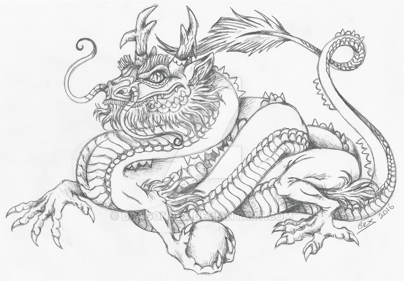 800x558 Chinese Lung Dragon Sketch By Dragonbex - Chinese Lion Sketch